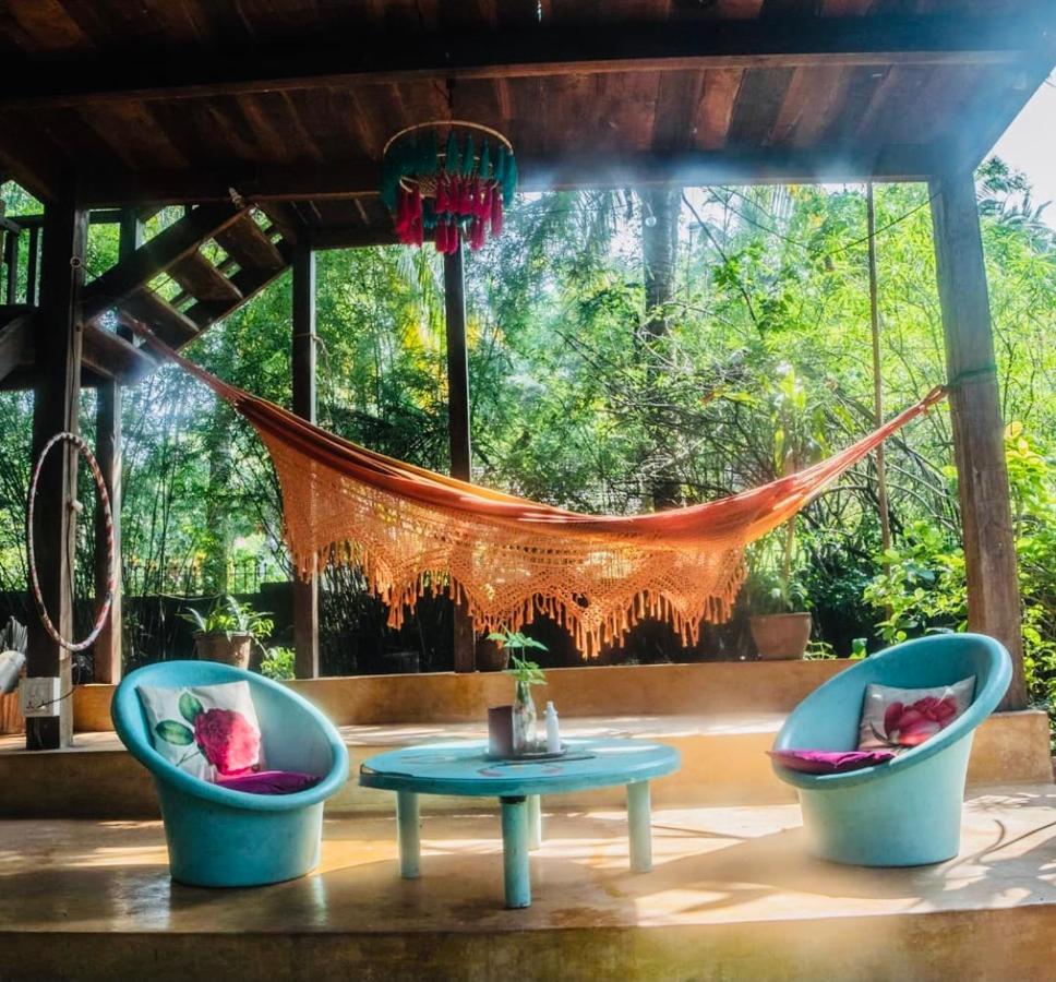 The Wild Flower! Anjuna Exterior photo