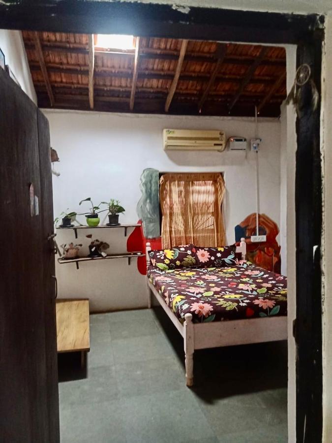 The Wild Flower! Anjuna Exterior photo