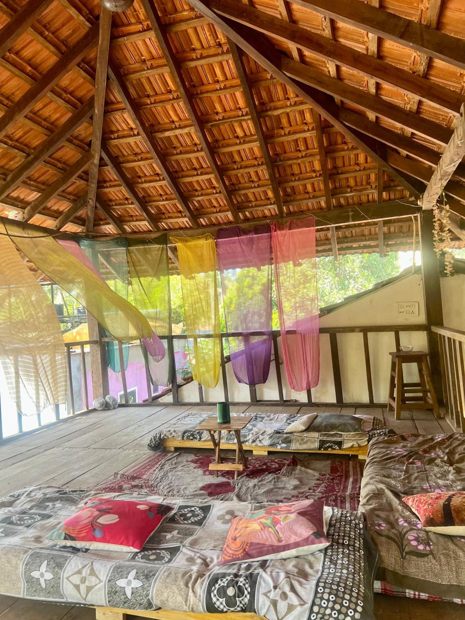 The Wild Flower! Anjuna Exterior photo