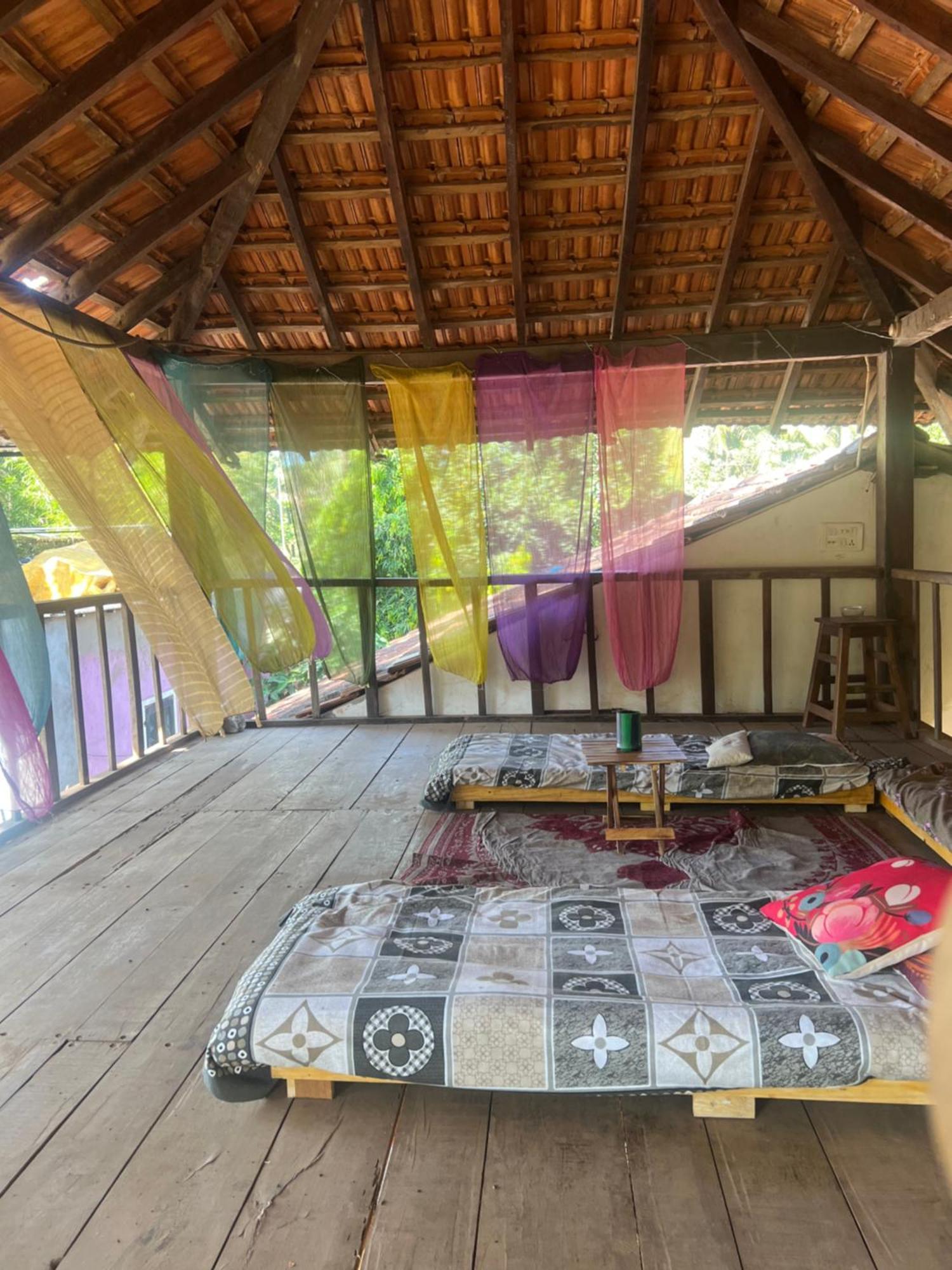 The Wild Flower! Anjuna Exterior photo